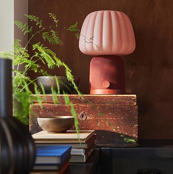 ������������ �����